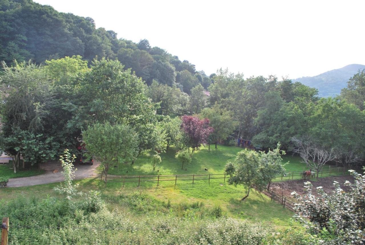 Apartamento Rural Lago Ercina Apartment Cangas de Onís Exterior photo